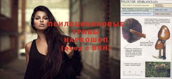 ПСИЛОЦИБИНОВЫЕ ГРИБЫ Алексеевка
