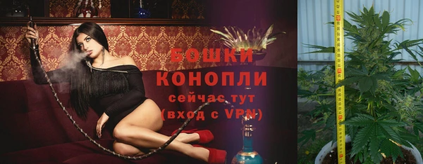 ПСИЛОЦИБИНОВЫЕ ГРИБЫ Алексеевка