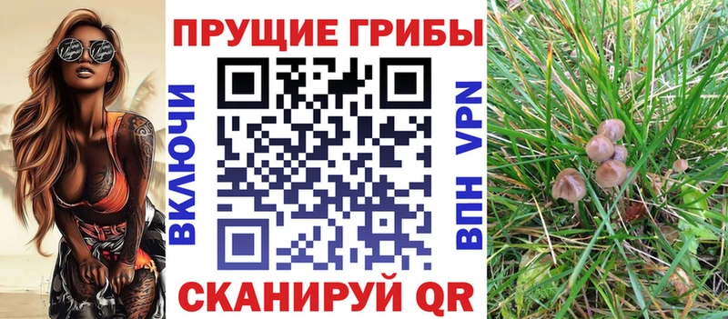 Псилоцибиновые грибы Magic Shrooms  Звенигово 